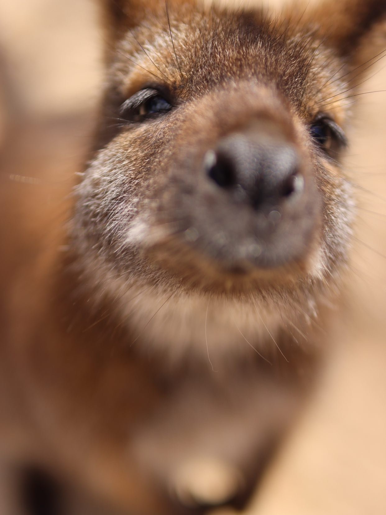 Book now and save! 🧡
Dear Friends,
We are writing to share an important update regarding our pricing for the upcoming season. To continue providing the high-quality care for our animals, maintain our beautiful park, and enhance the guest experience,