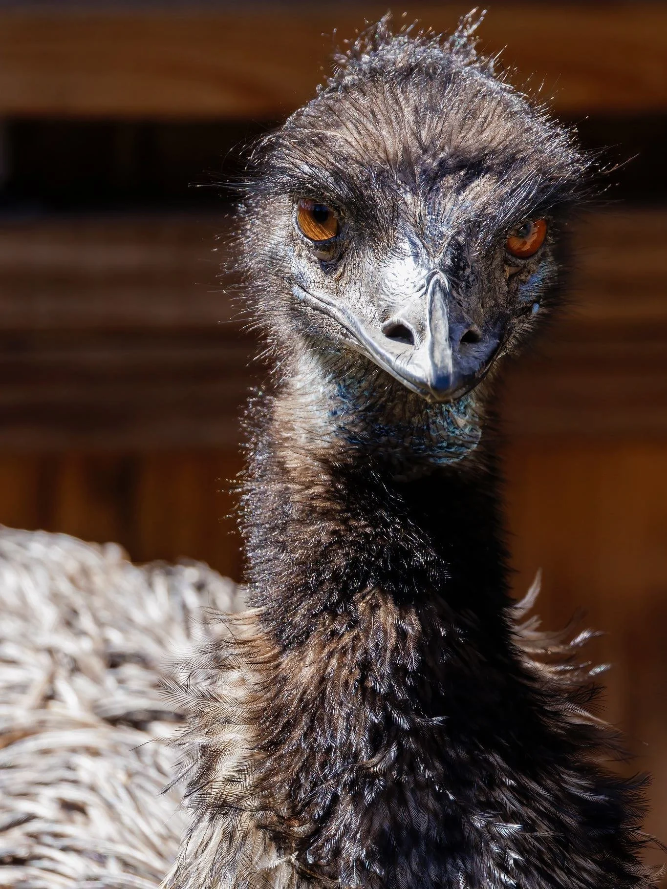 Stay warm and safe this weekend! ❄️ Due to the weather we have decided to cancel tours, encounters and general admission this weekend (2/28/26 &amp; 3/1/26). 

Thank you for your understanding! We are excited to announce our March hours soon. 🧡

📞 