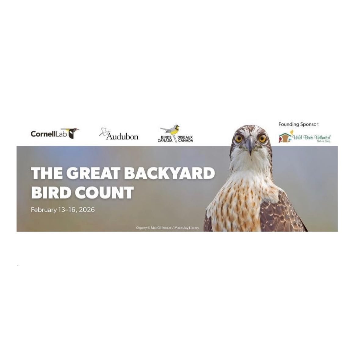 Thank you for being part of the Great Backyard Bird Count! 🪶

Watch the highlights video - https://www.youtube.com/shorts/_zF6RfCXtbQ

A huge thank you to everyone who participated, your enthusiasm and observations make a real difference for bird co