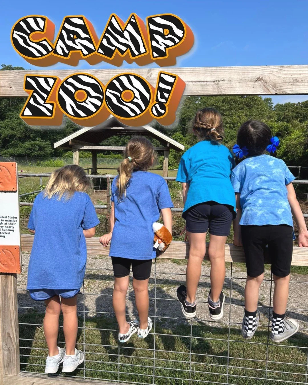 Summer adventure at Camp Zoo! ☀️

Our camp program combines nature exploration, science discovery, and up close animal encounters for campers ages 6 and up. Kids will dive into hands on learning, build lasting friendships, and uncover the magic of wi