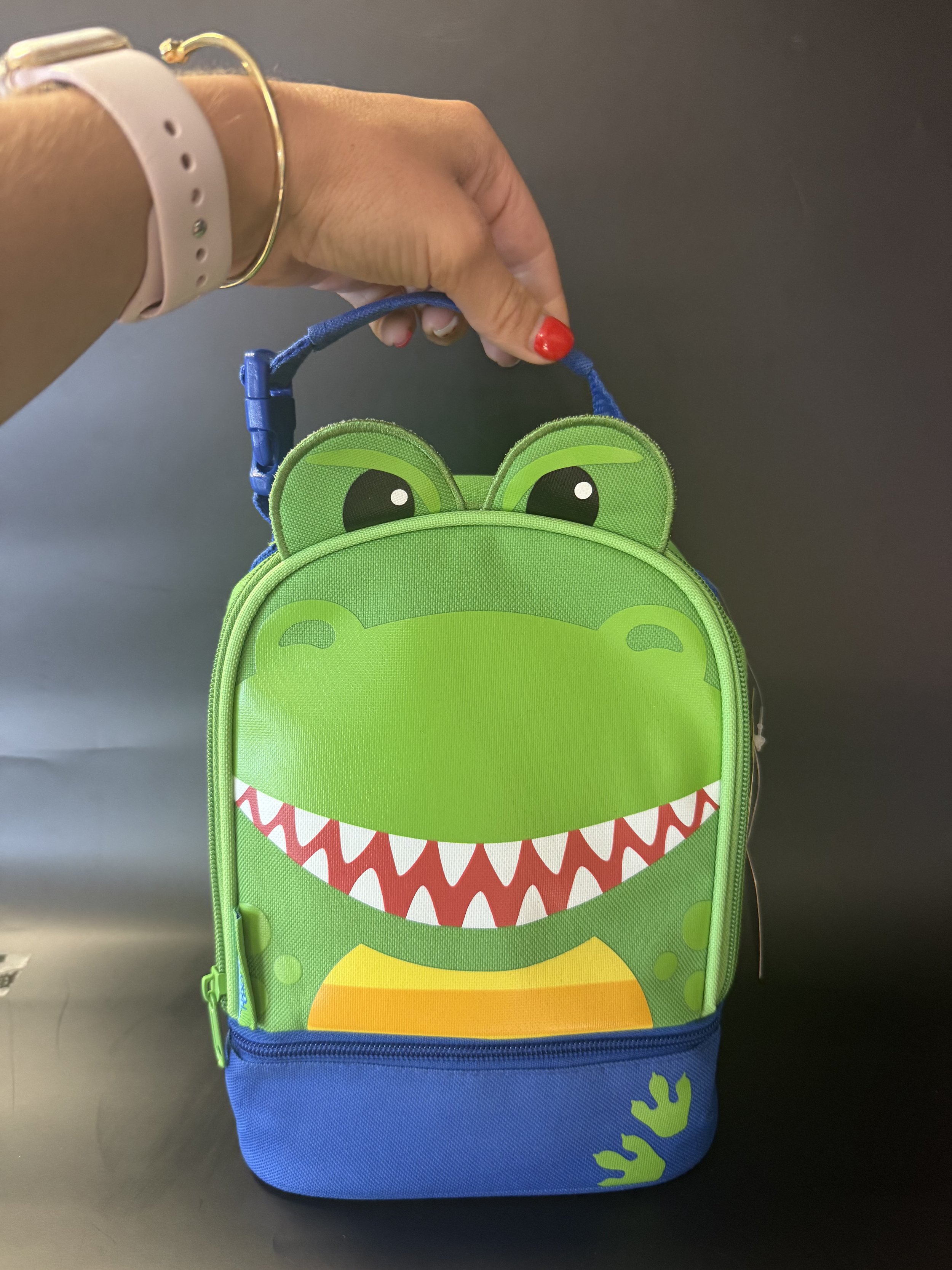 Stephen Joseph Lunchbox: Dinosaur