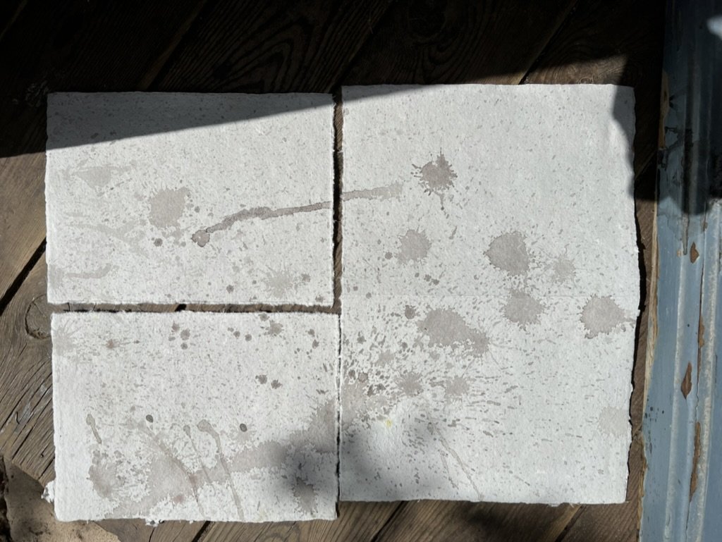 AF83DF21-D065-49D3-BB8B-A679EE539124_1_105_c.jpeg