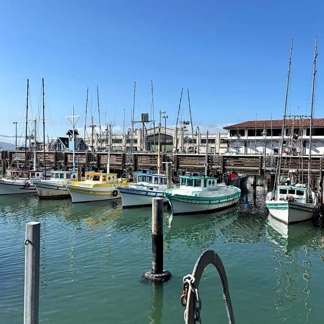 Discover the vibrant essence of the Bay Area, where the stunning waterfront meets the lively spirit of San Francisco. Stroll along the iconic wharf, savor fresh seafood, and soak in breathtaking views.
#hoteladagiosf #sanfrancisco #unionsquaresf #ho