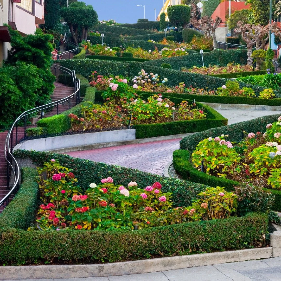 Spring is calling &mdash; and San Francisco is the perfect place to answer. Plan your March getaway at Hotel Adagio and experience boutique luxury in the center of it all.