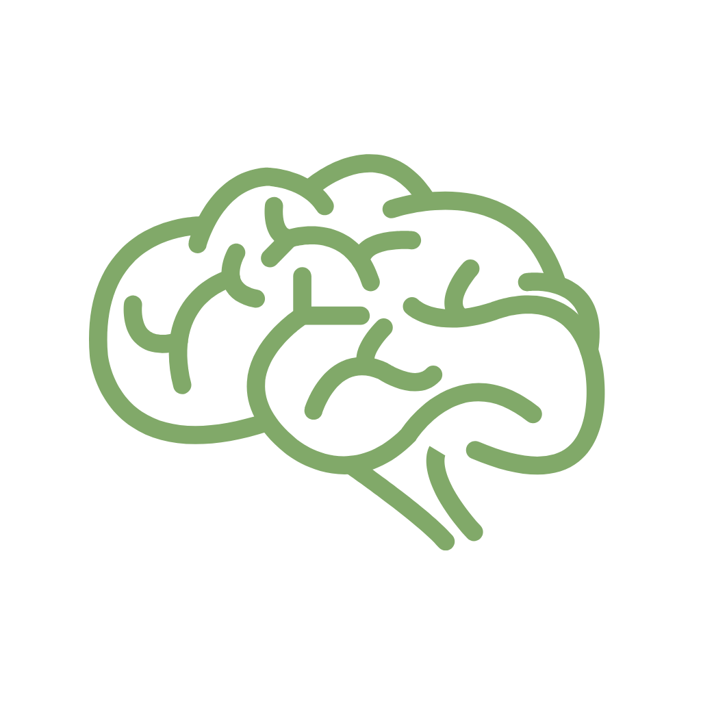 Icon of a brain representing neurodiversity, learning differences, and cognitive development in education.