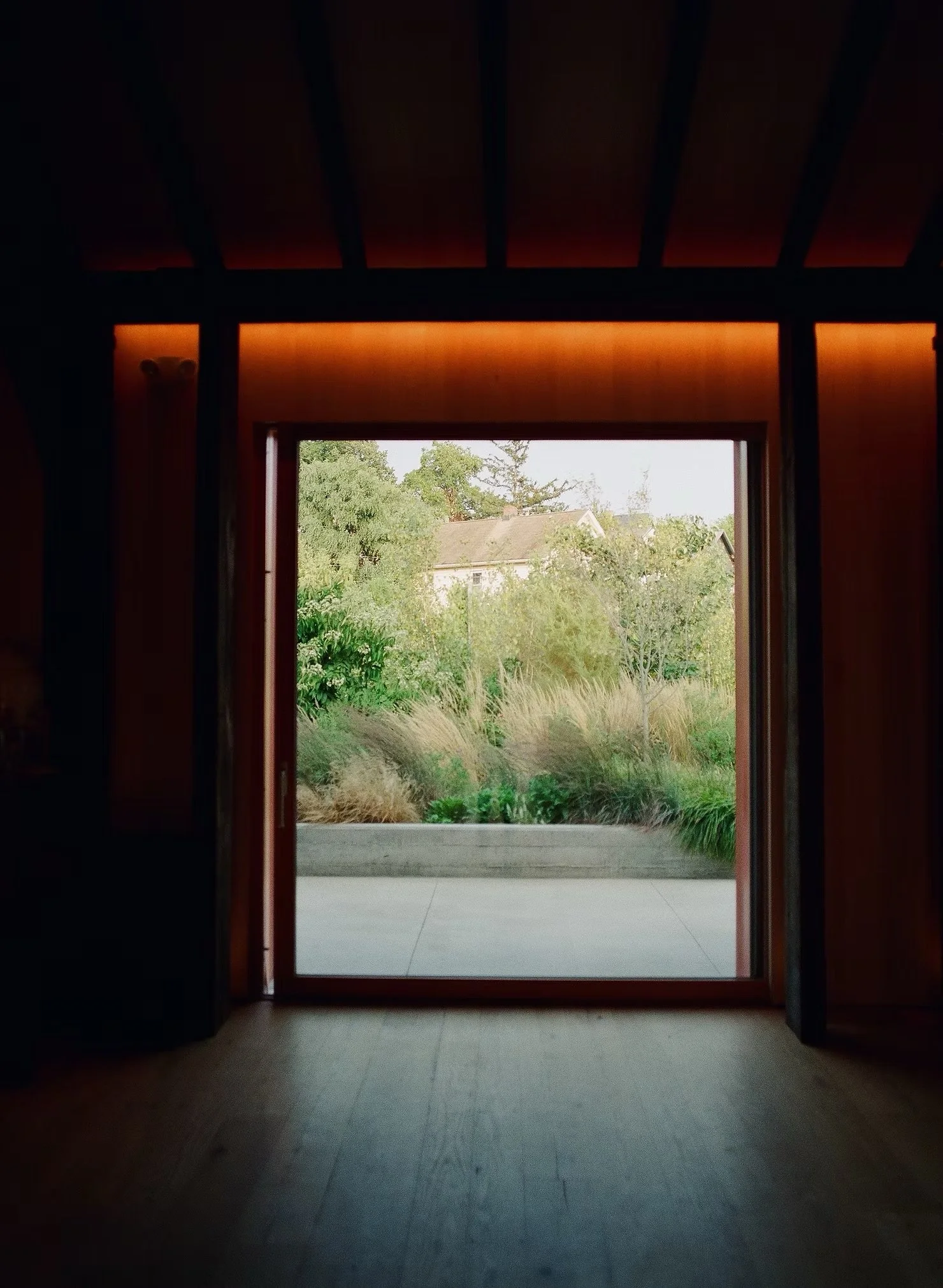 Window to outside.jpeg