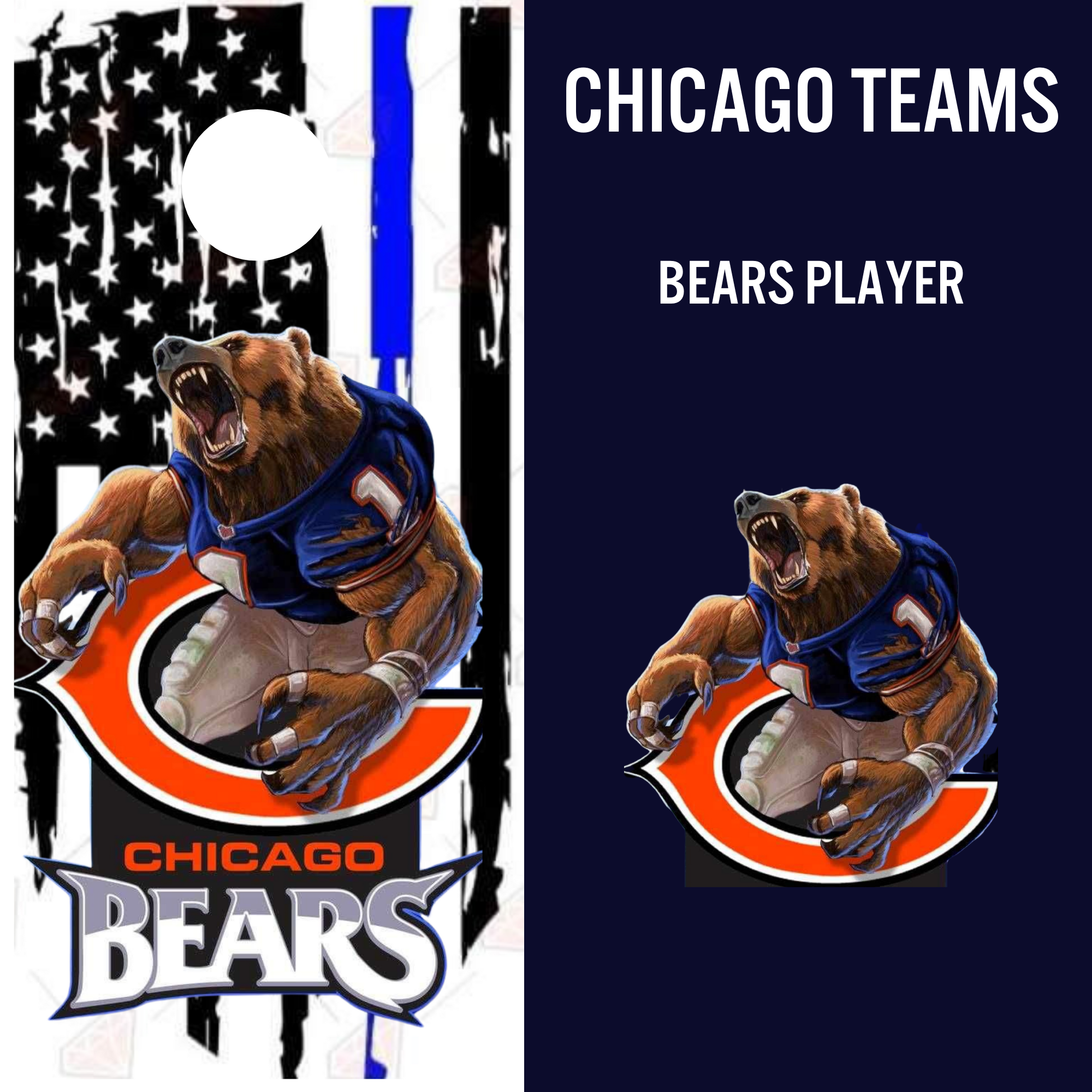CHB_ Chi Bears Player - Details.png