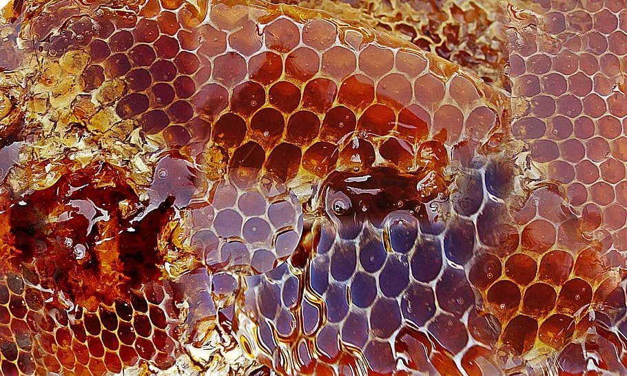 INTRODUCING ~ HONEY HIVE SPA