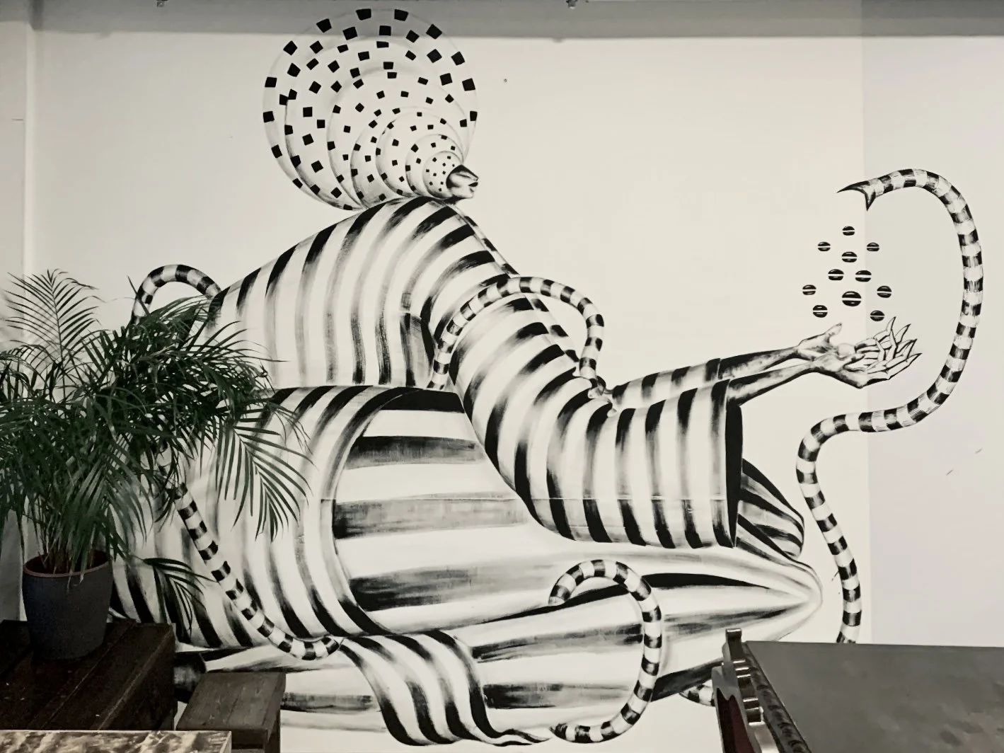 BURACA ROASTERS | 2025