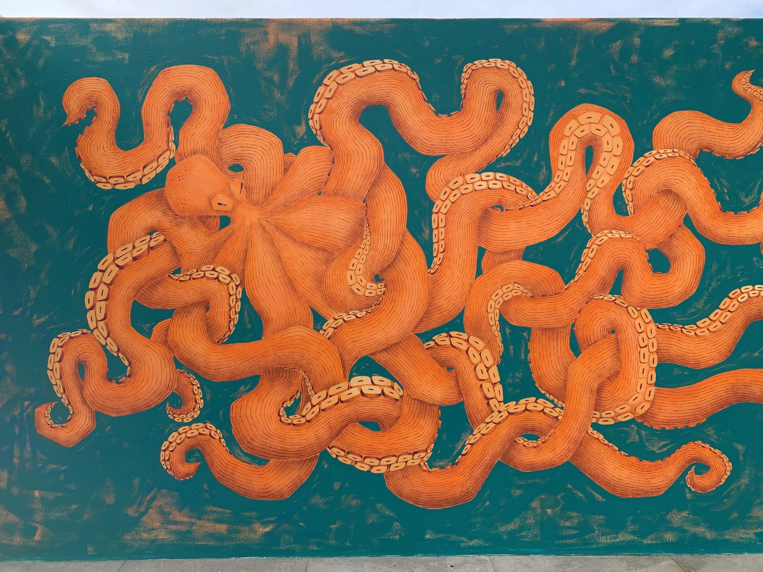OCTOPUS | 2026