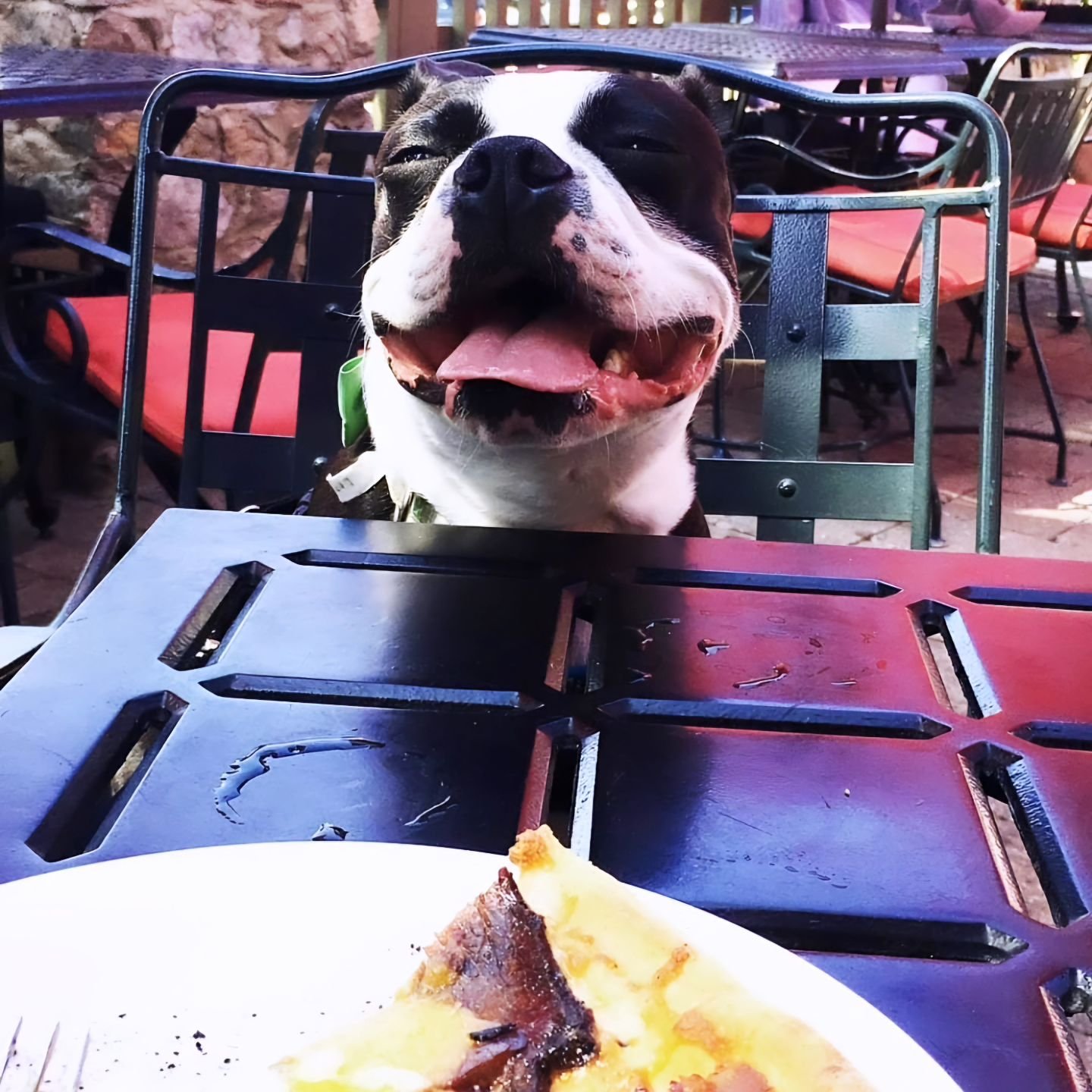 All smiles because the weekend has arrived! 😍

Did you know that our patios are dog 🐕 friendly? That's right! Bring your fur-legged pals and visit one of our locations today and start the weekend with us! We look forward to seeing you! We open at 1