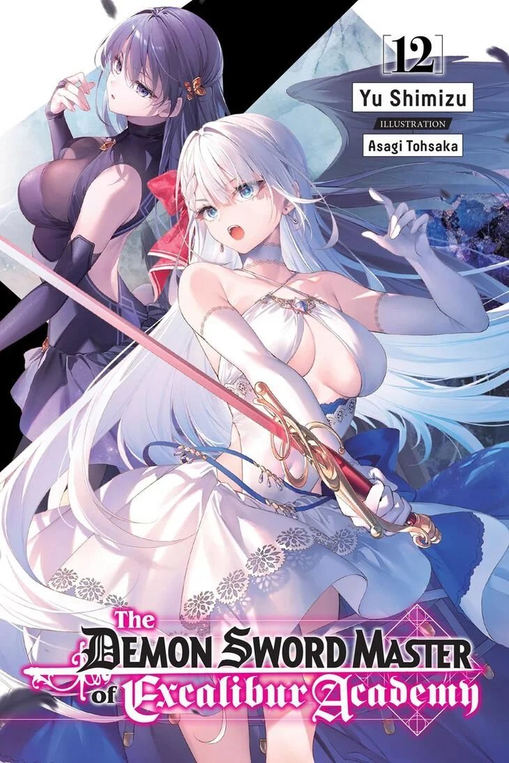 The Demon Sword Master of Excalibur Academy Novel Volume 12