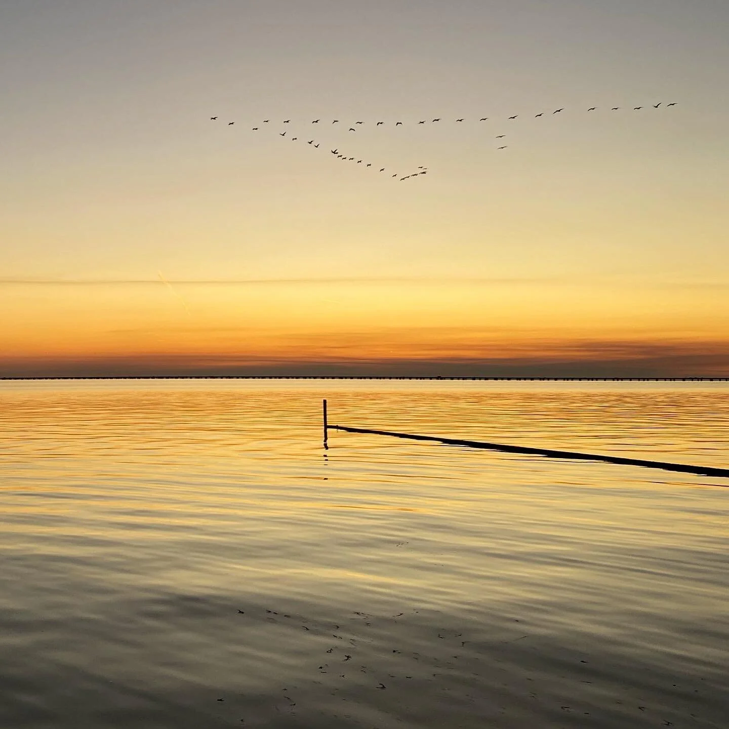 We caught an incredible sunset with a flying &ldquo;v&rdquo; over Lake Pontchartrain.

#sunset #lakepontchartrain #birds