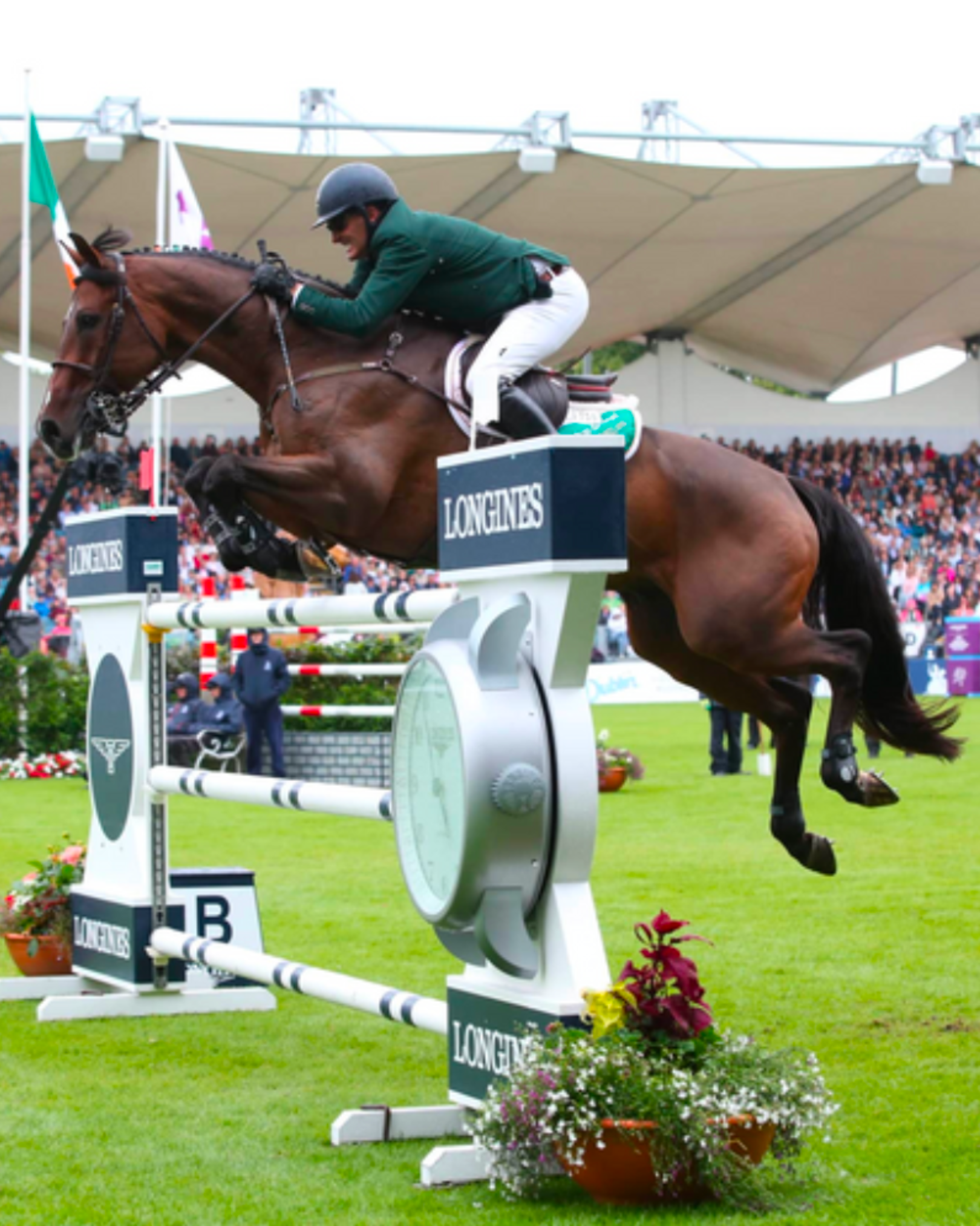 A male equestrian in a green jacket and white riding pants jumps over a hurdle on a brown horse during a show jumping competition, with a large crowd in the background.