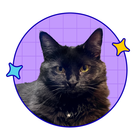 Digital illustration of a black cat with yellow eyes, set against a purple grid background with star-shaped accents in blue and yellow.