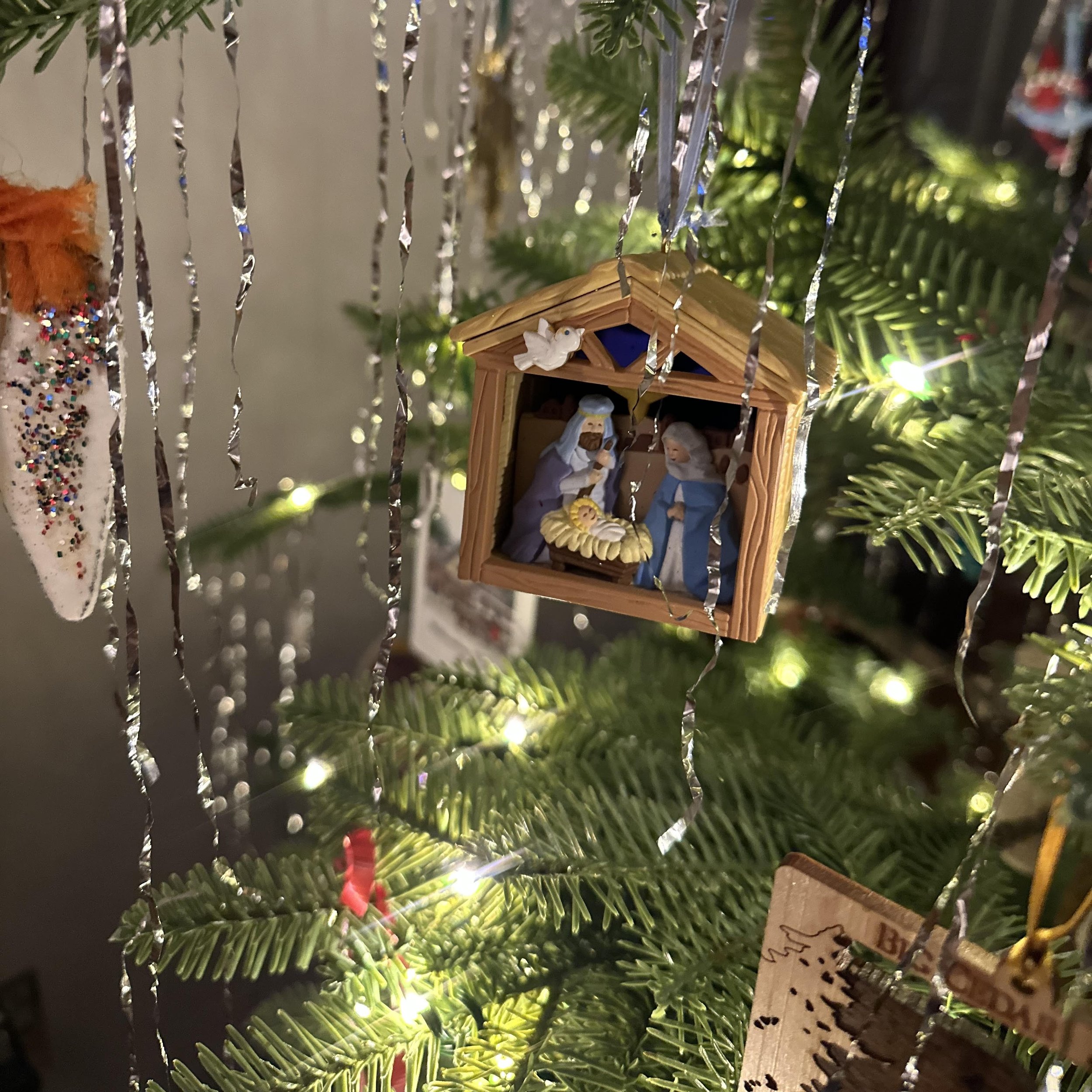 christmas tree.jpg