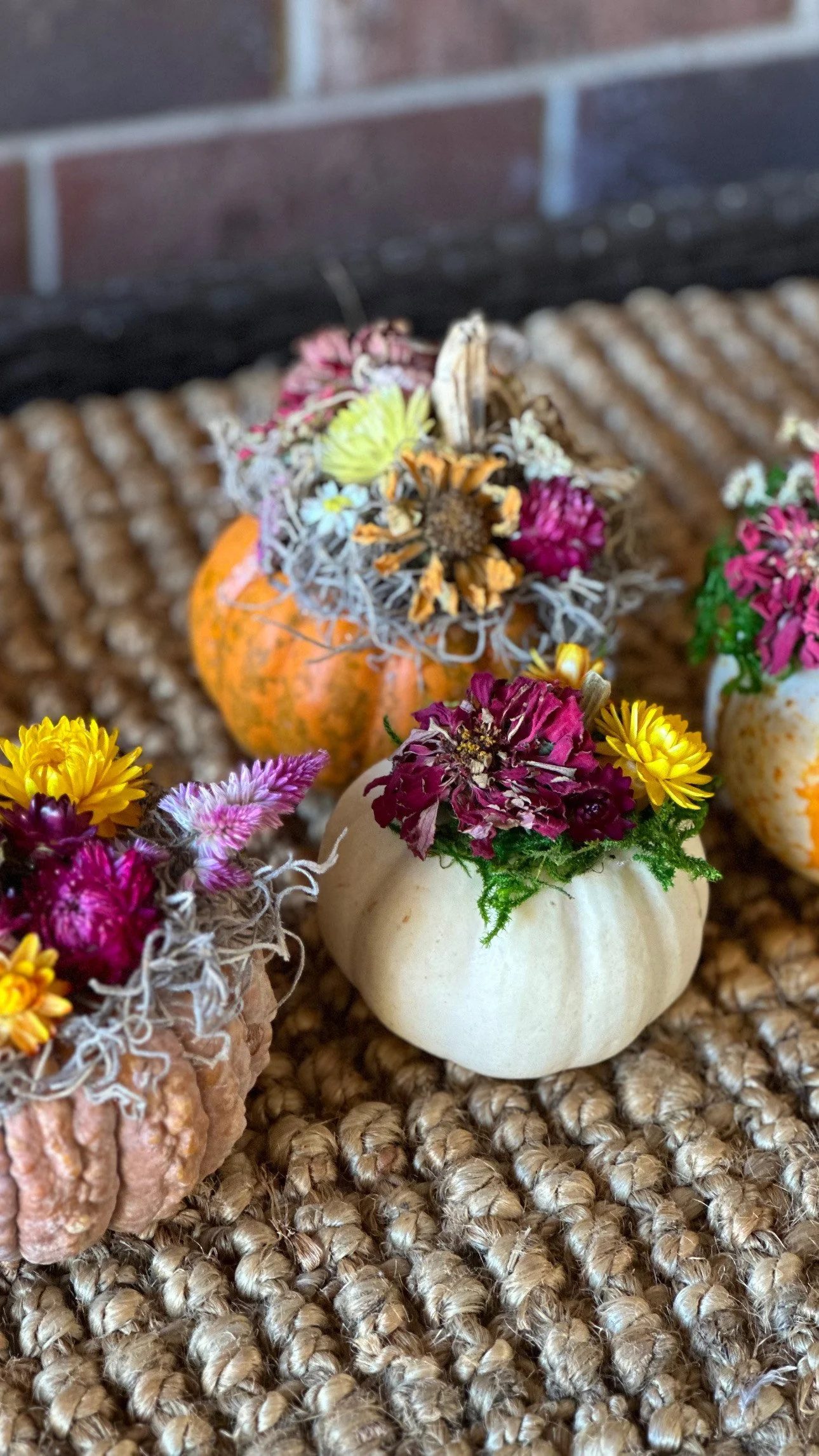 pumpkins 2.JPG