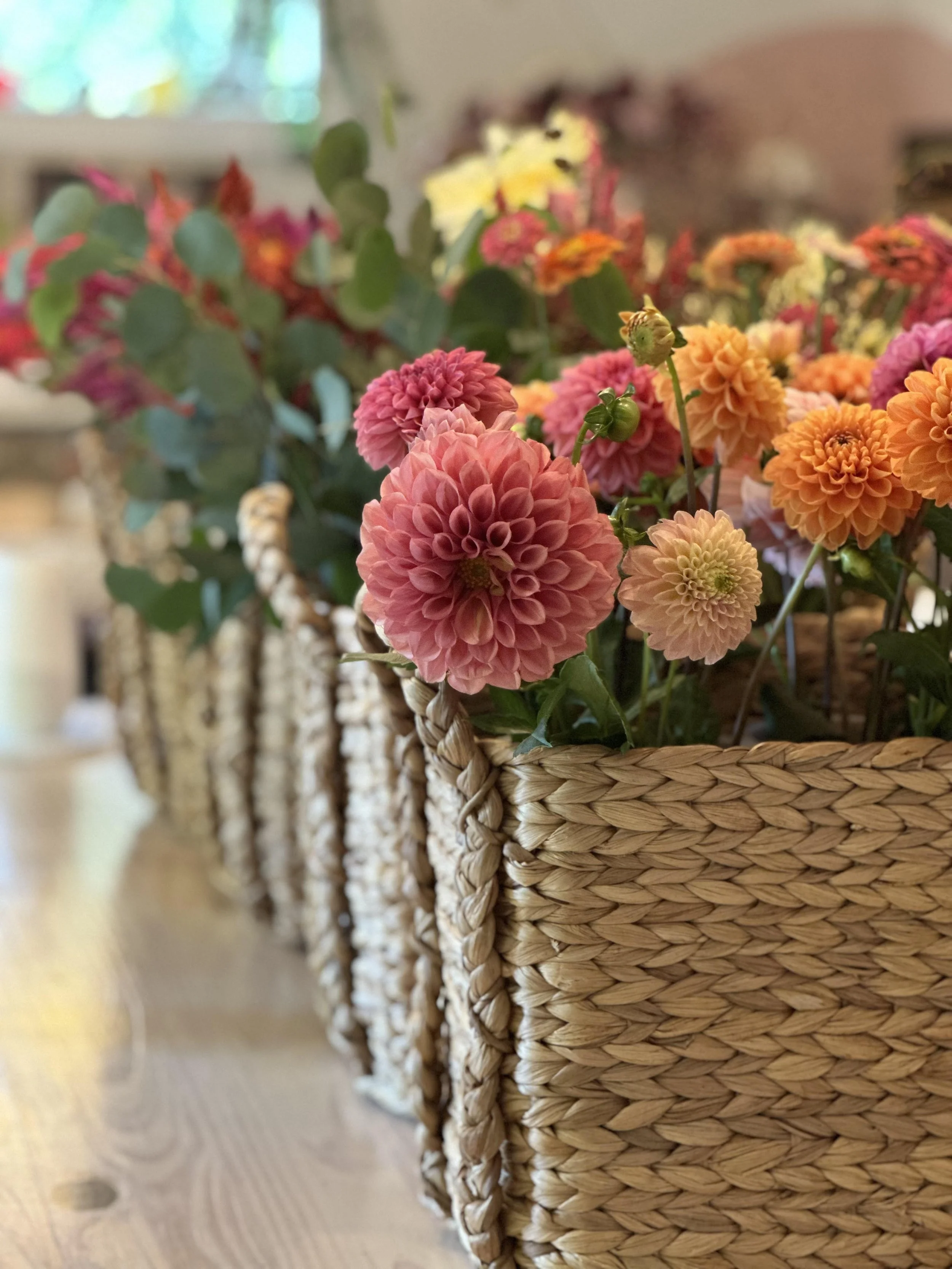 Fall Bloom Bar 2.jpg