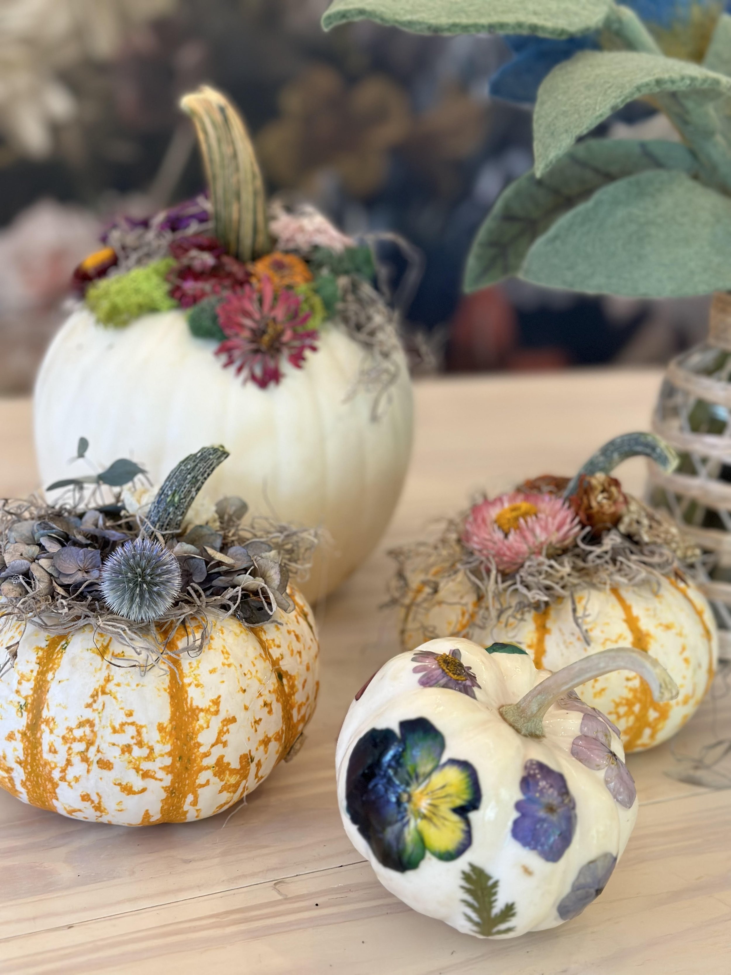 Pumpkins.jpg
