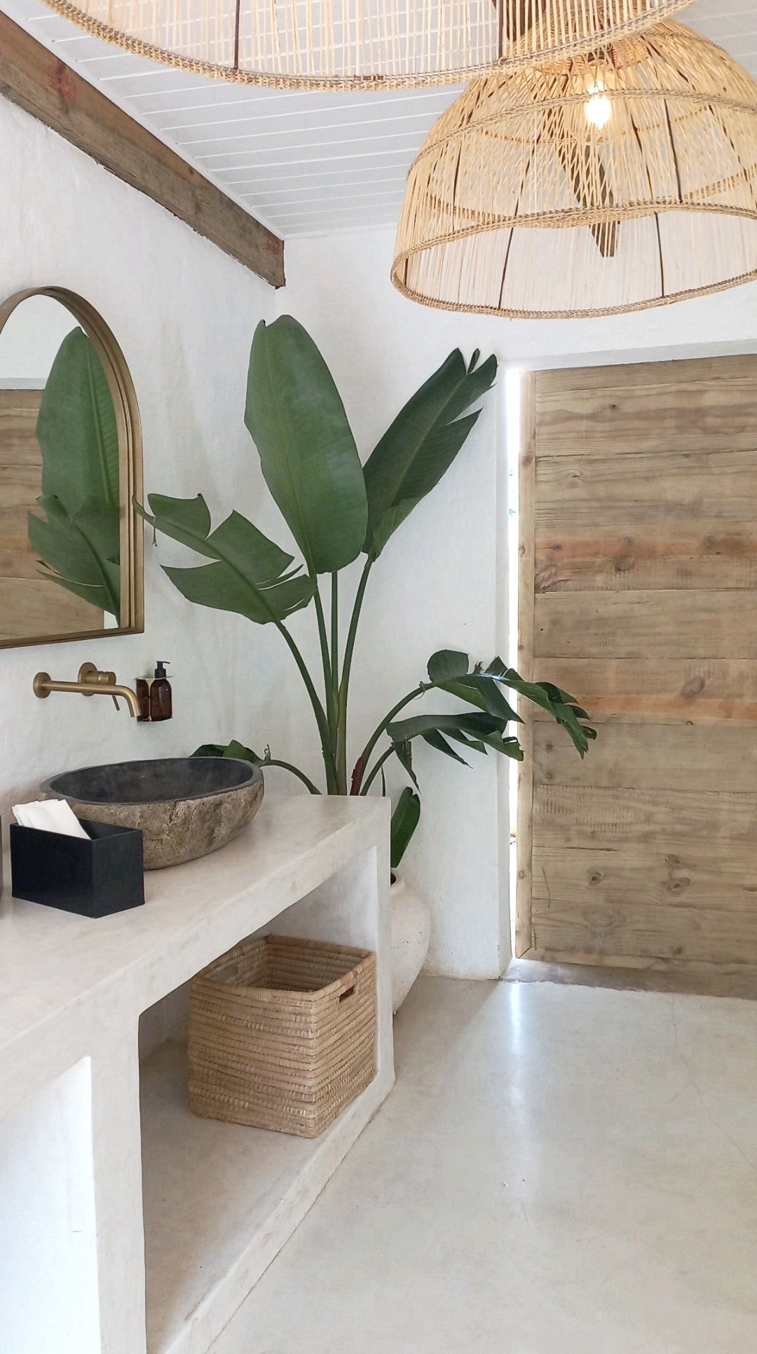 The Power of Greenery in Interior Design + Well-Being