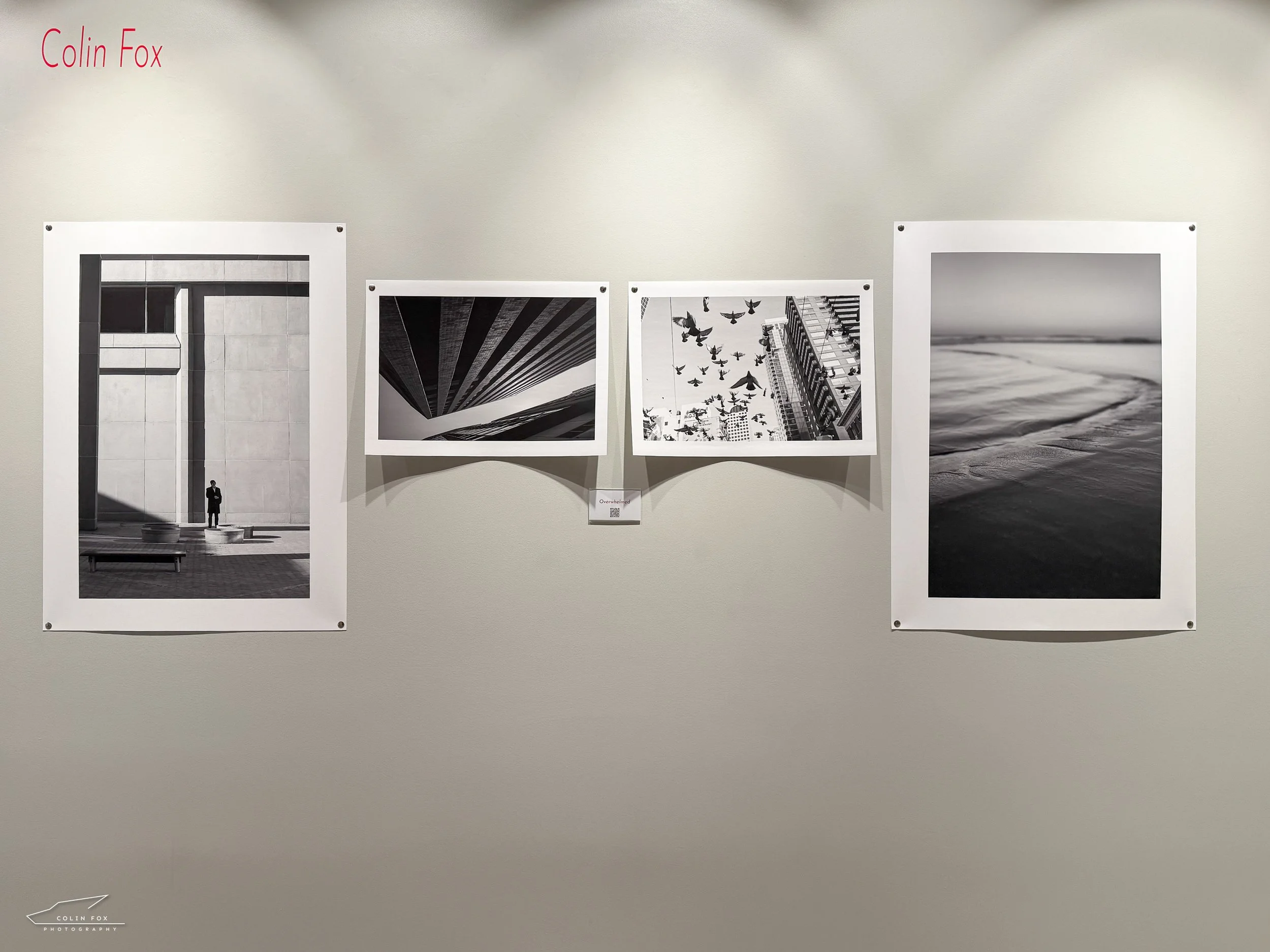 Overwhelmed_Display_Colin_Leica_Bellevue_Gallery_wall©ColinFox.jpg
