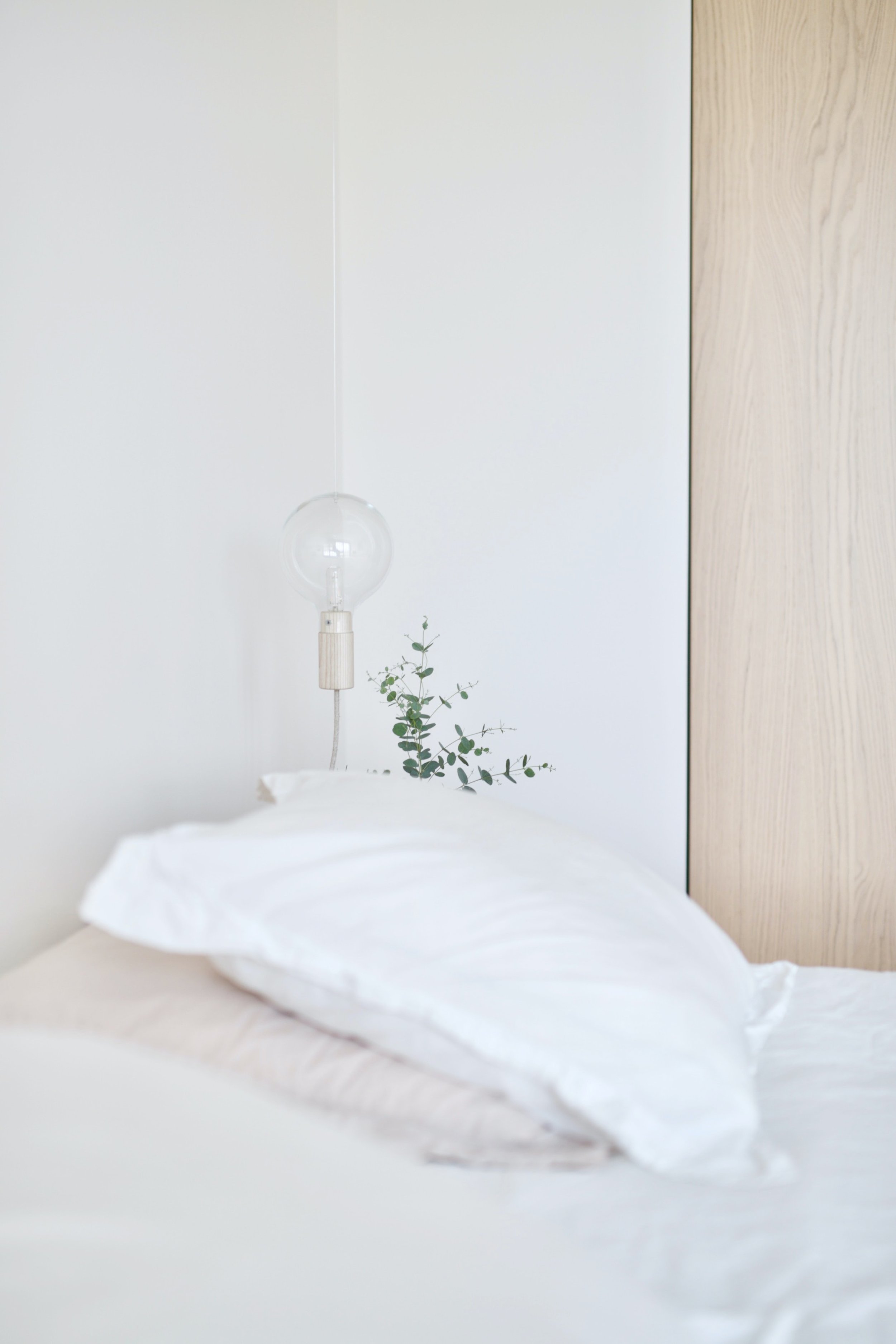 swabdesign-IntzZWcSegc-unsplash.jpg