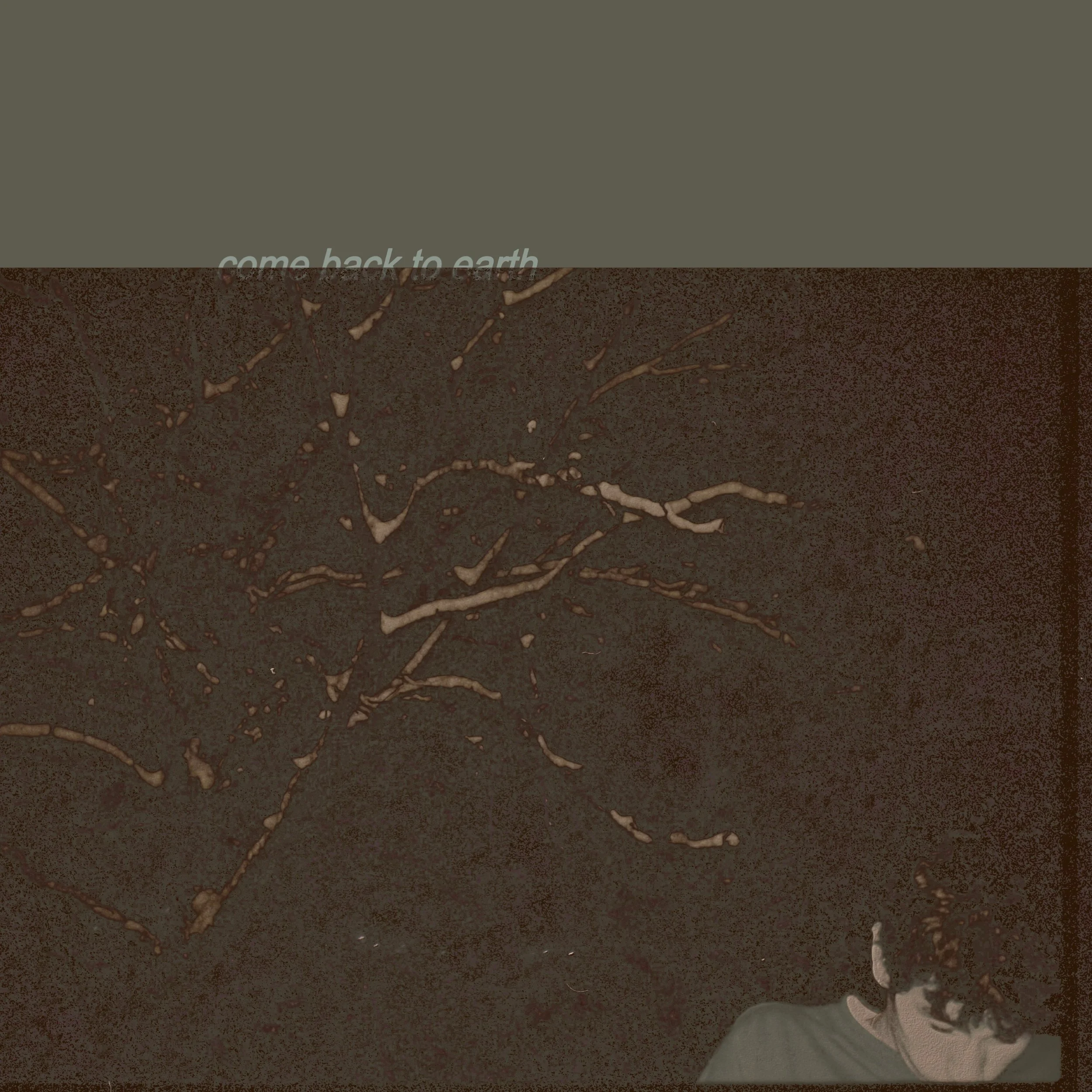 COME BACK TO EARTH (EP) - brantt