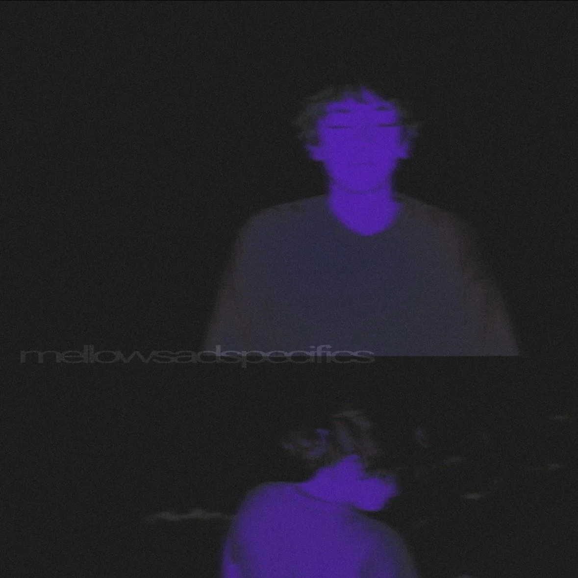 mellowsadspecifics (LP) - brantt