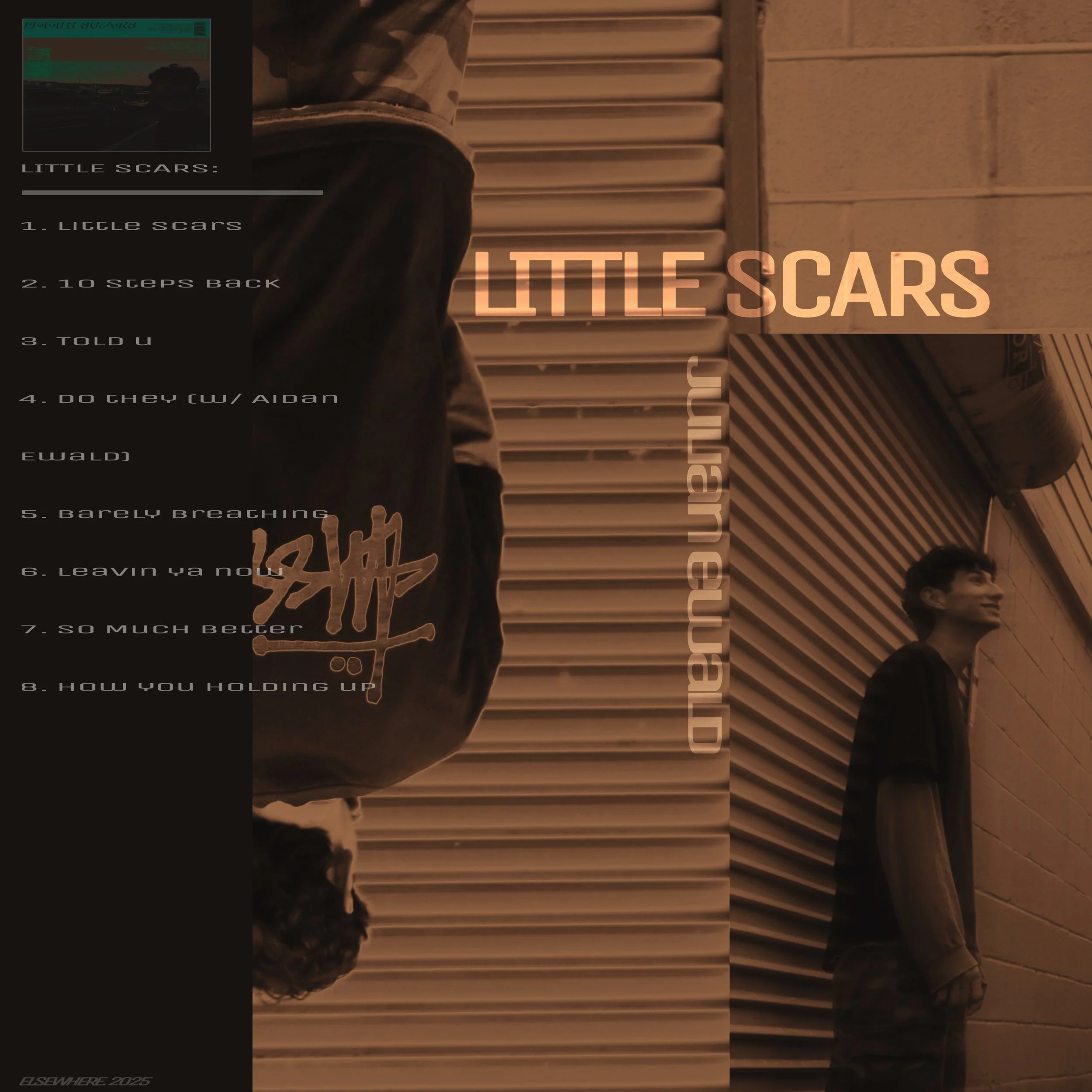 LITTLE SCARS (LP) - Julian Ewald