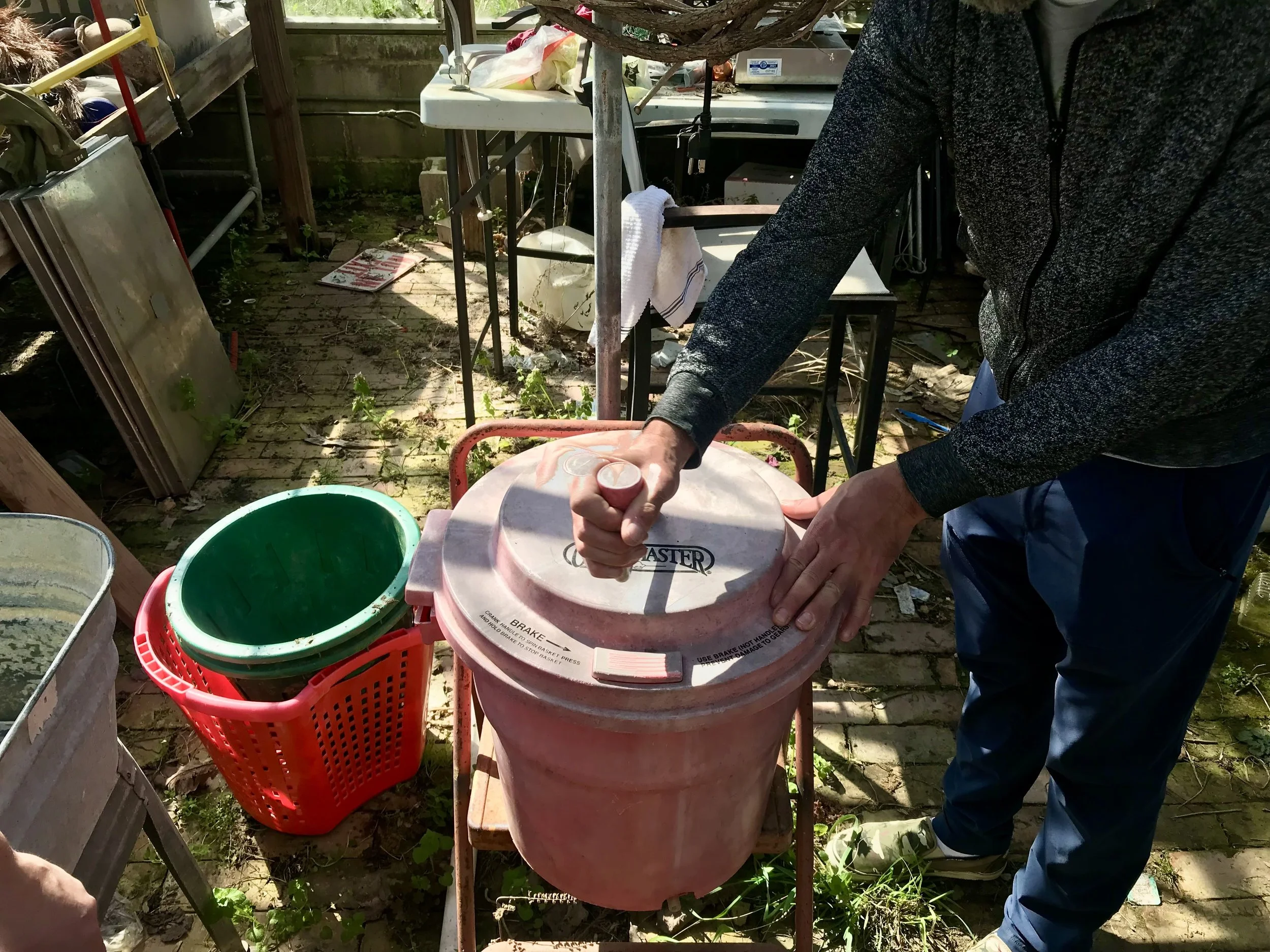 IMG_1214.jpeg