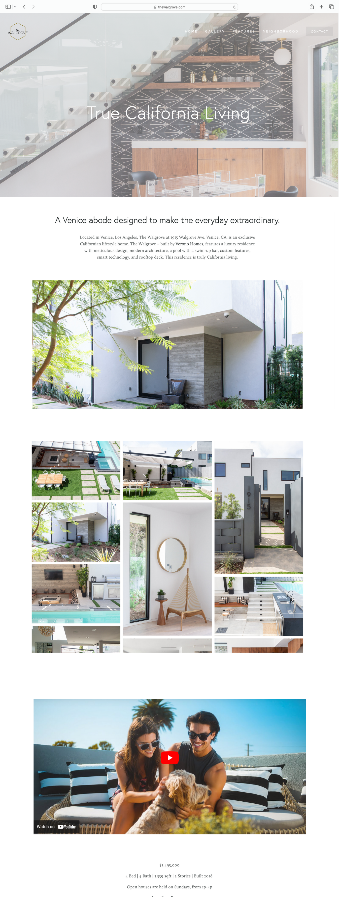 Website Design