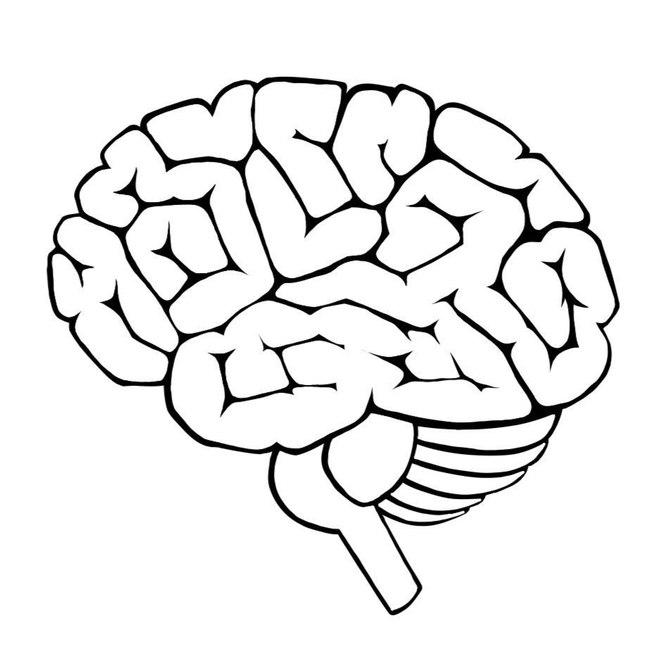 Digital Brain Illustration