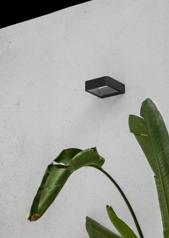 Axel IP65 Wall Light