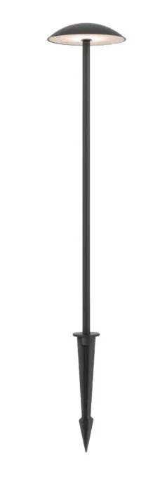 luc2.jpg