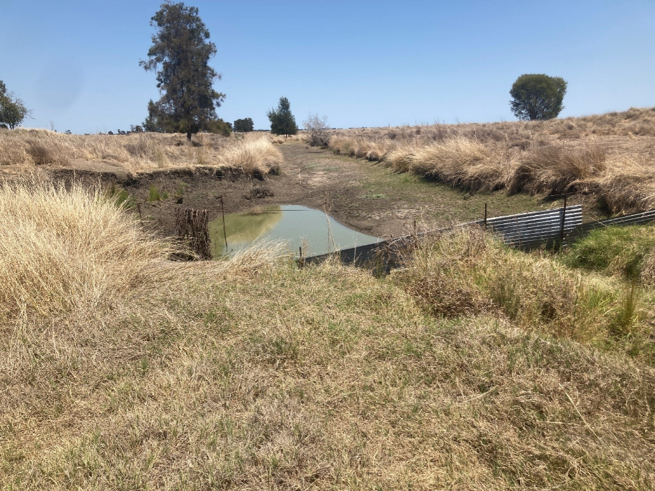 Jandowae Creek Restoration