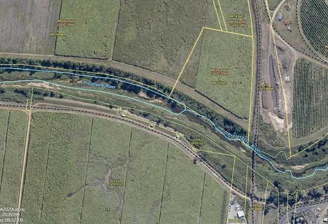 Revegetation - Proserpine River