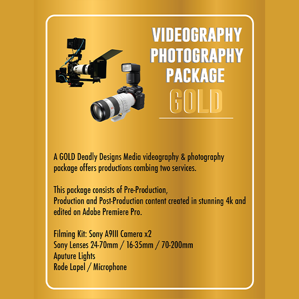 DDM-Gold-Package+-v2.png
