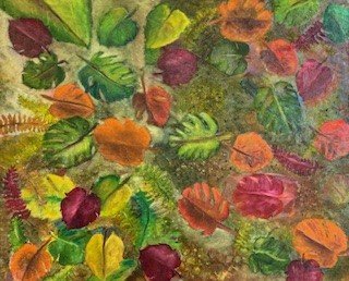 Blooms & Nature