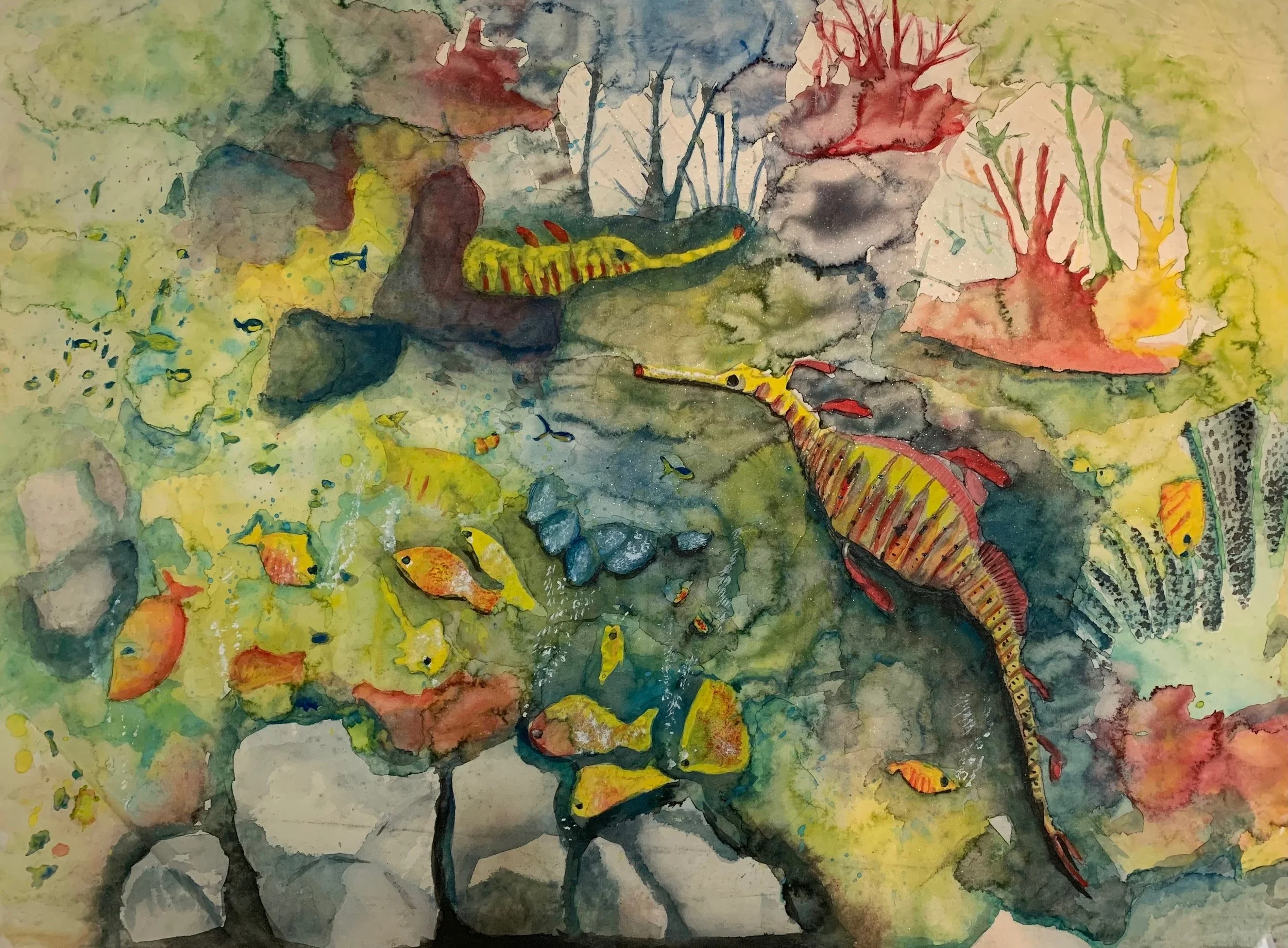 Land & Sea Creatures