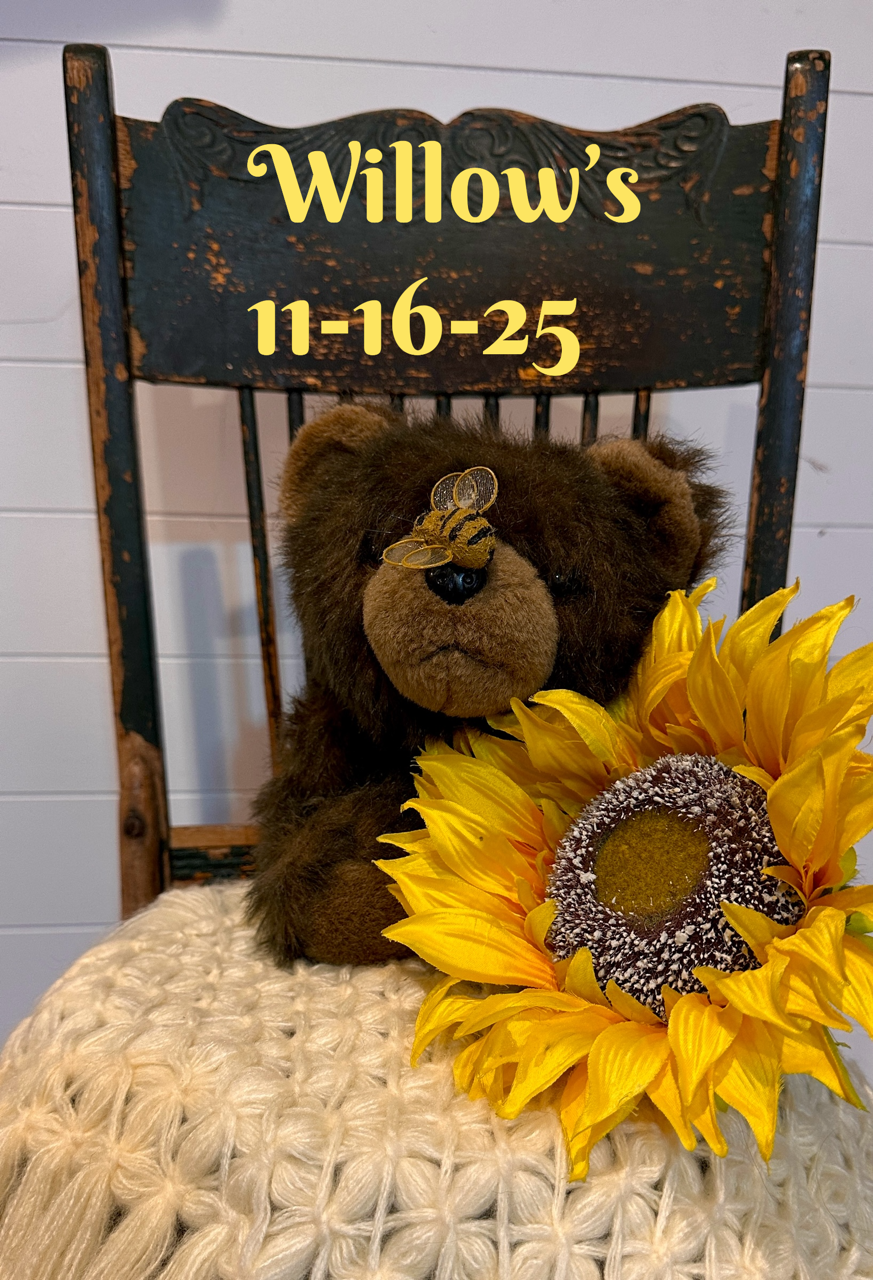 Willow and Aela's Available Puppies 11/2025 (Copy)