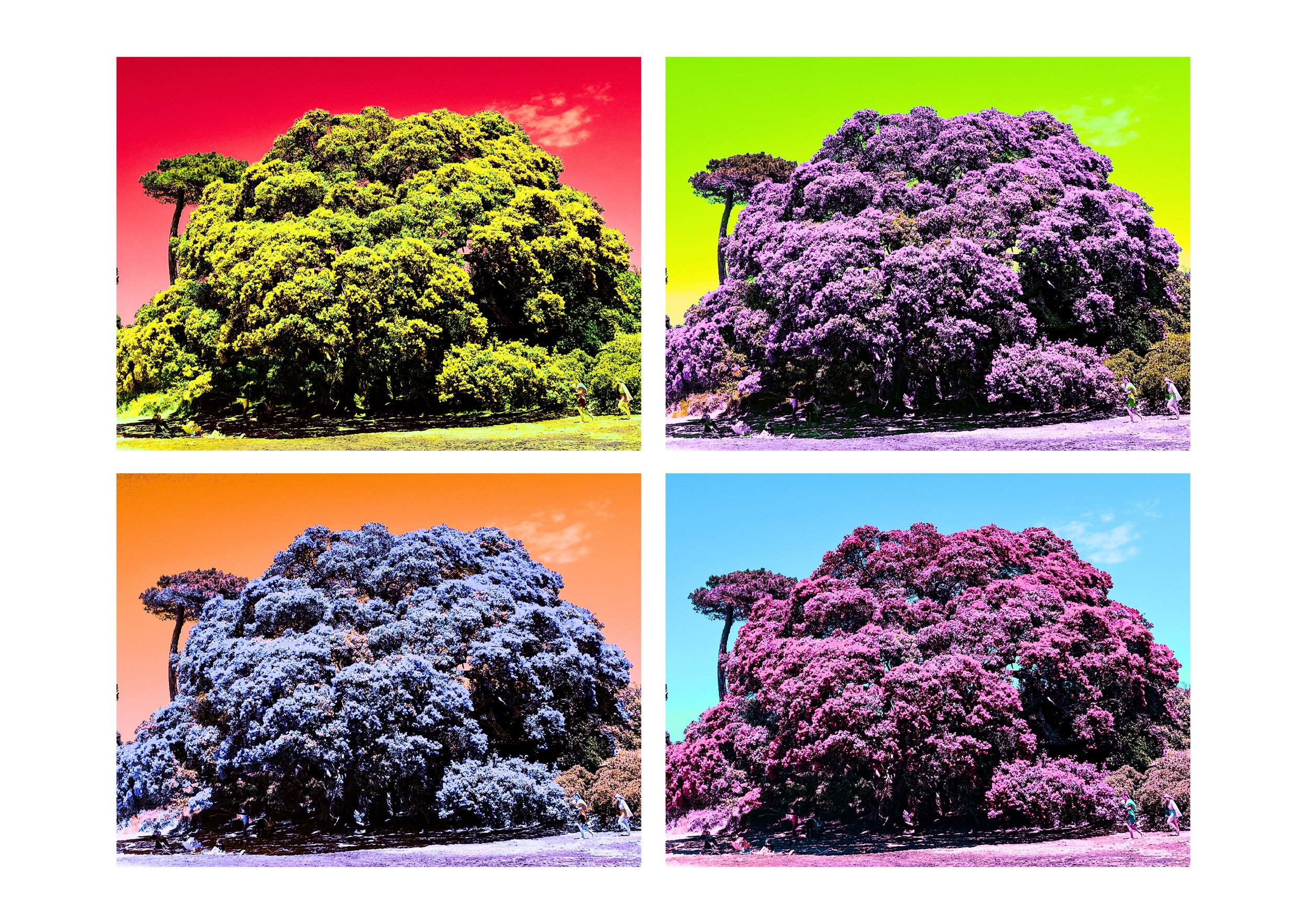 Pohutukawa Pop Art Landscape 1.jpg