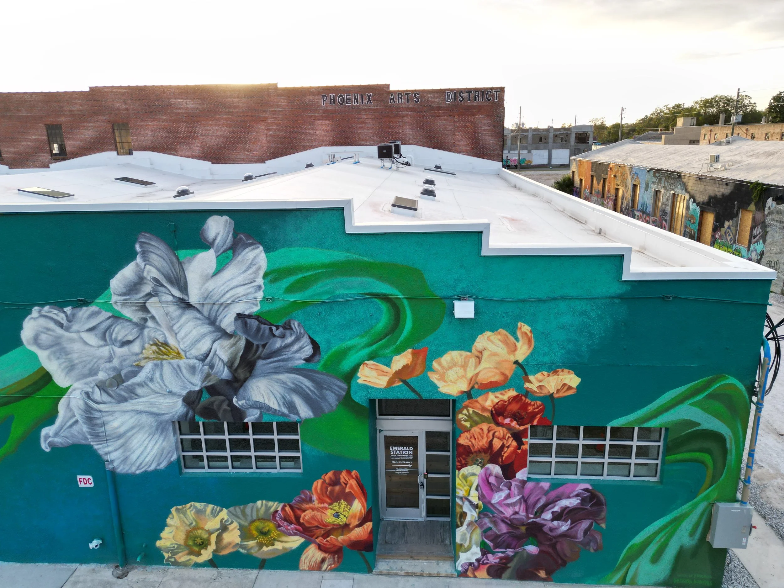 Copy of DJI_0966.JPEG