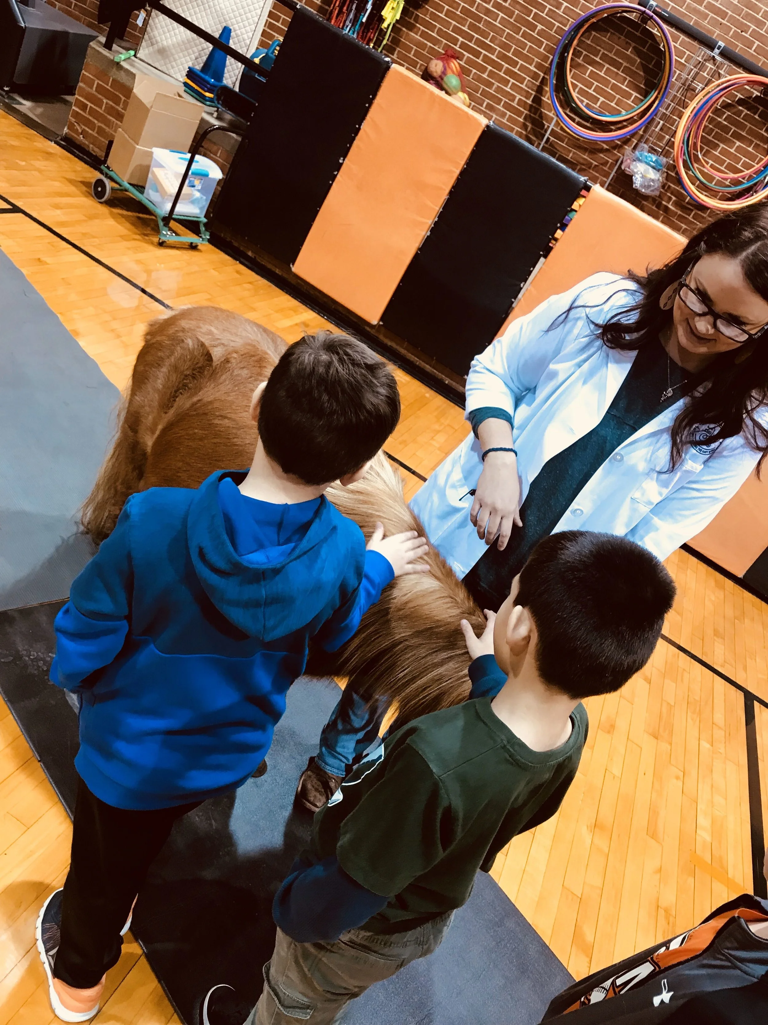 Piedmont Elementary - Book Reading