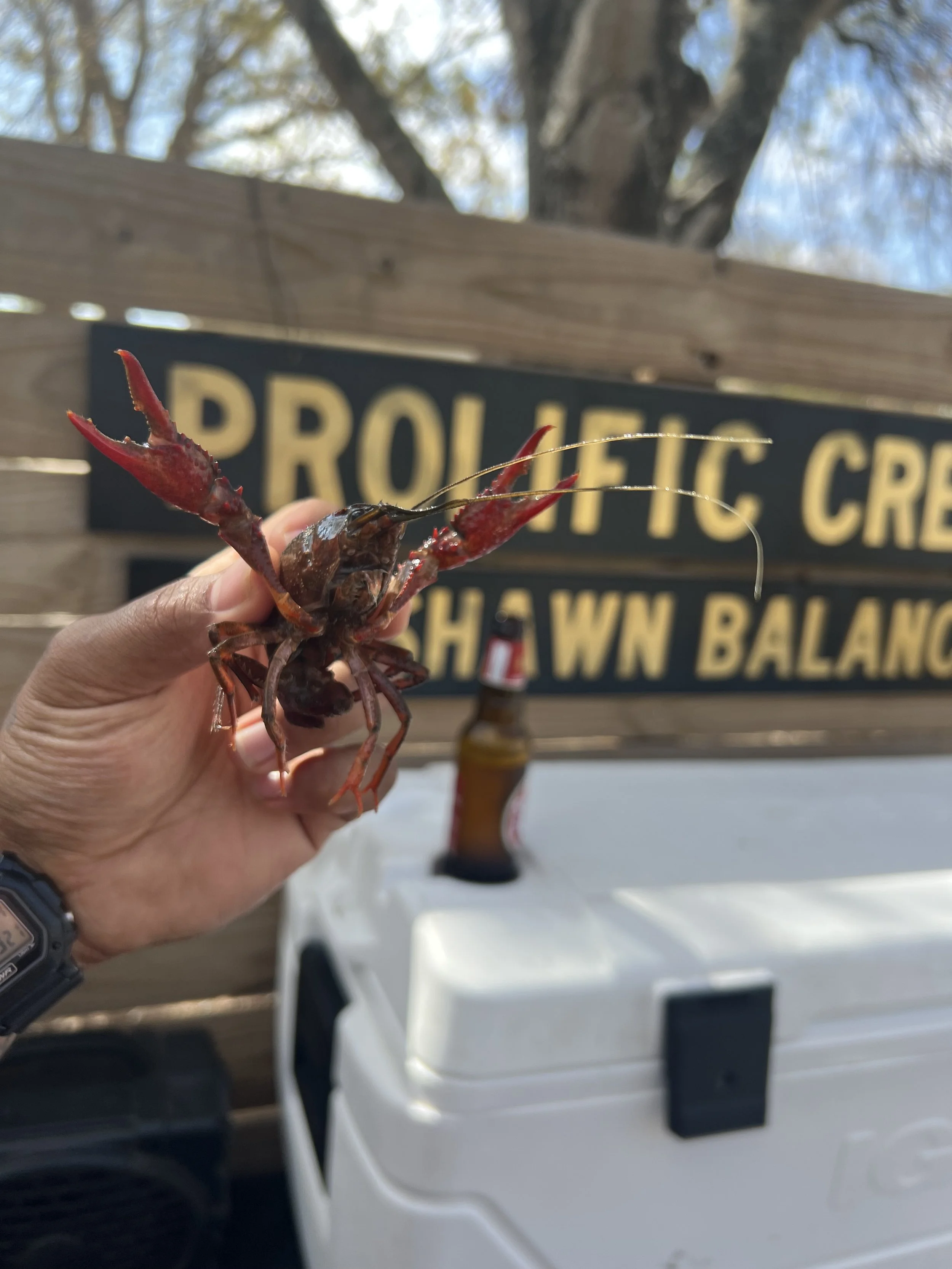 Best Lil Creole Crawfish Boil