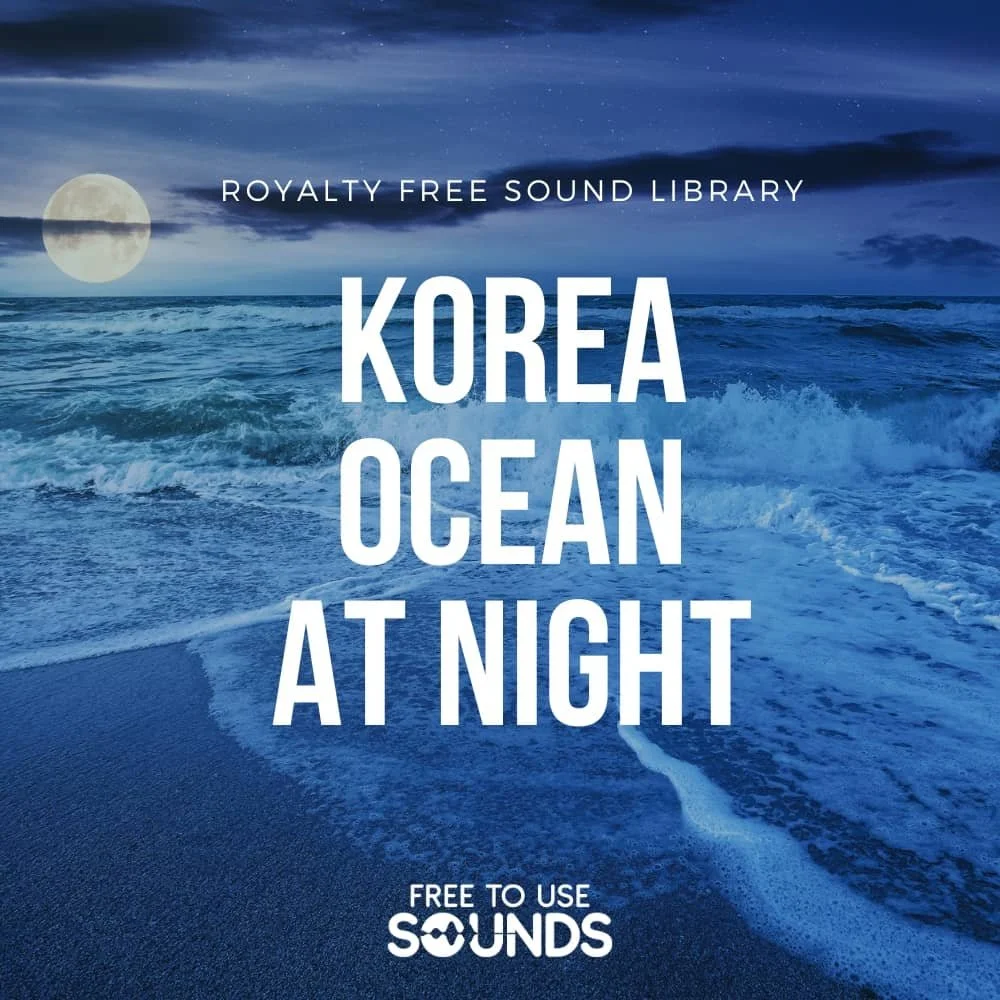 Coastal Night Soundscape