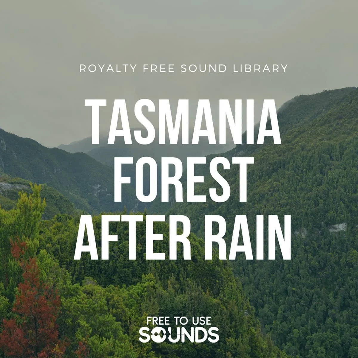 ORTF Tasmanian Forest Ambience Sound Library