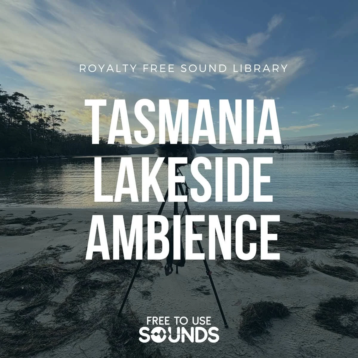 Tasmanian Lakeside Day and Night Ambience
