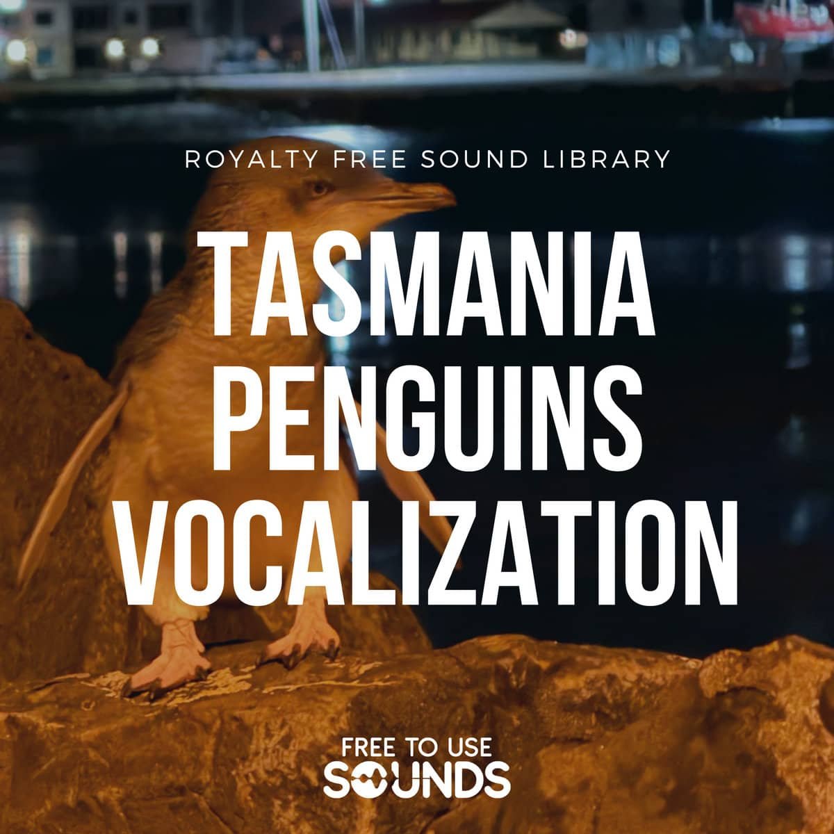 Little Penguins Vocalizations Sound Effects Library