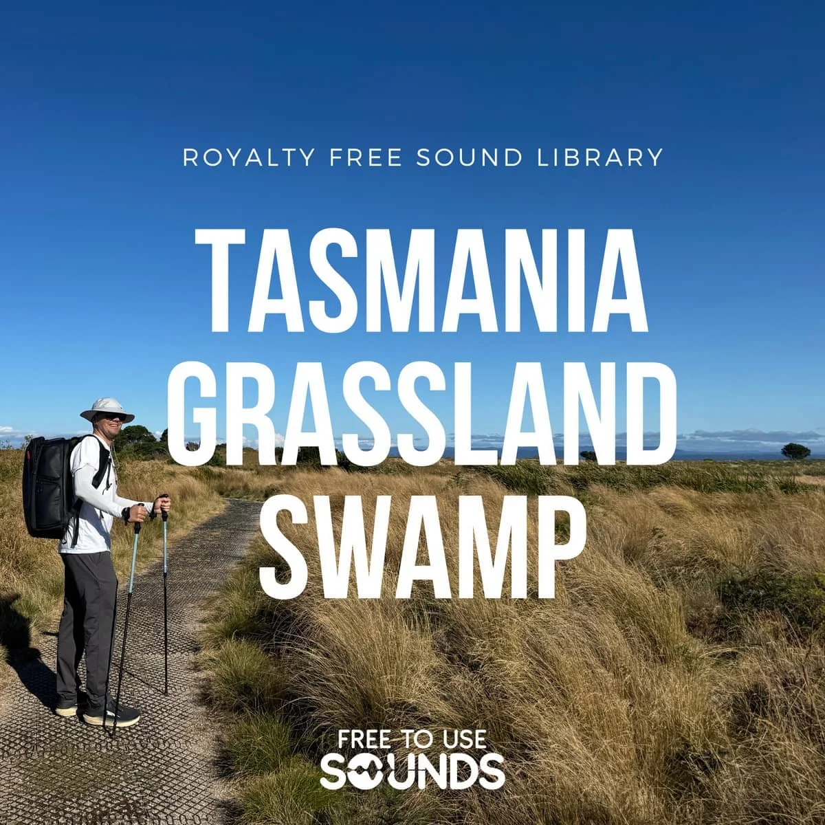 Coastal Wetlands and Grassland Ambience Tasmania
