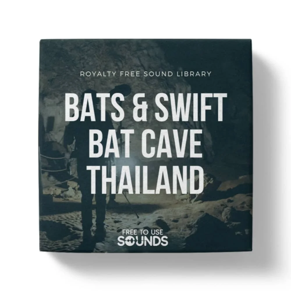 Bat Cave Sound Effects Thailand